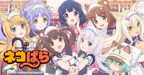 NEKOPARA TVanime Official HP.
